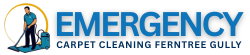 Emergency Carpet Cleaning Ferntree Gully